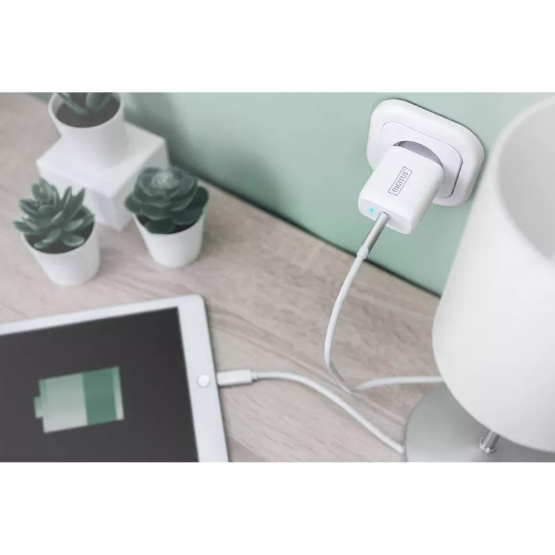 Digitus - Alimentatore - 20 Watt - 3 A - PD 3.0 (USB-C) - Bianco (DA-10196)