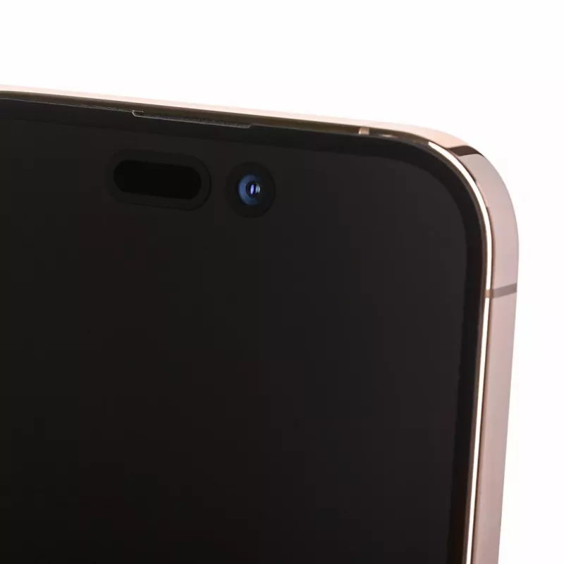 Apple iPhone 14 Pro 17 cm (6.7) Dual SIM iOS 16 5G 128 GB oro ricondizionato / rigenerato