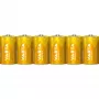 Batteria monouso Varta Longlife Extra D 6x