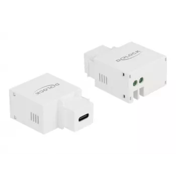 Modulo keystone con porta di ricarica USB Type-C DeLOCK 87792