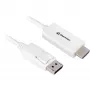 Cavo adattatore DisplayPort 1.2 Sharkoon 4K, lunghezza 1 m