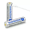 Batteria everActive 18650 3.7V Li-ion 2600mAh micro USB con protezione BOX