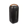 BLOW DJBOX 30-392# speaker Bluetooth 250 W con telecomando e microfono, USB, microSD, AUX, TWS, batteria integrata, nero