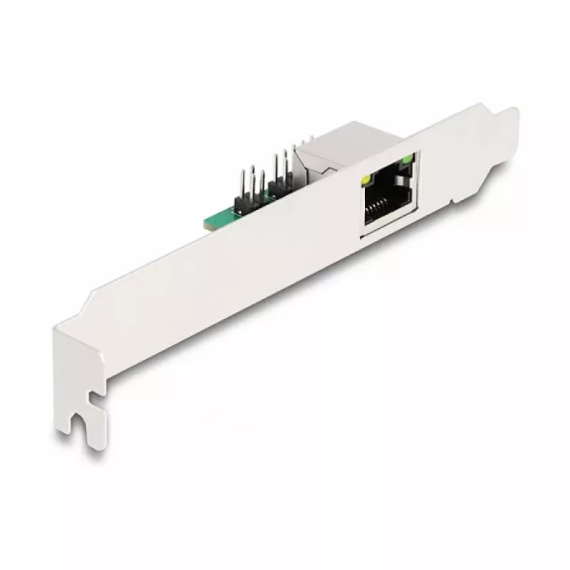 DeLOCK 95271 Scheda di rete interna 2500 Mbit/s Mini PCI Express