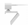 Webcam Lenovo GXC1D66063 2,8 MP 1920 x 1080 pixel USB-C grigia