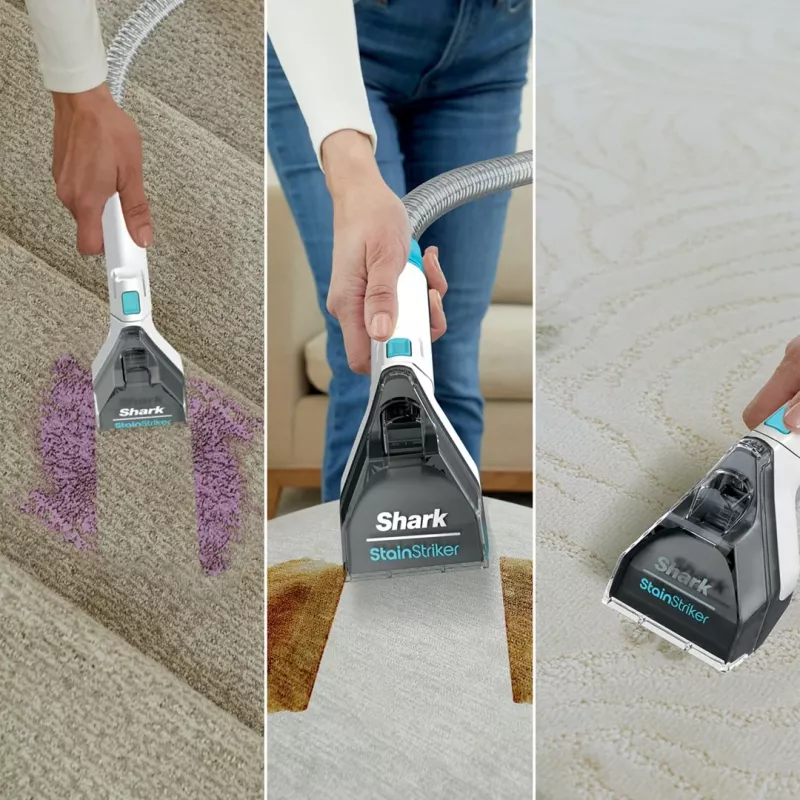 Sharkclean PX200EUT pulitore per tappeti portatile pulizia profonda/intermedia bianco