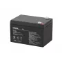 Batteria al piombo sigillata VIPOW BAT0216 12V 12Ah