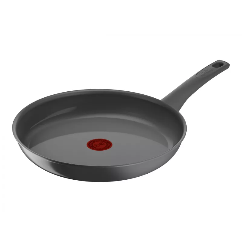 Padella Tefal C4260643, diametro 28 cm, adatta all'induzione, manico fisso, grigio
