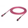 Cavo in fibra ottica MPO Ubiquiti UACC-OFC-MA-MPMP-5M 5m OM4