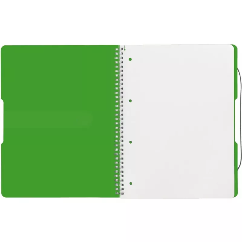 Quaderno Herlitz 11293099 A4 80 fogli verde
