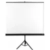 Avtek Tripod Standart 175 schermo per proiezione 1:1
