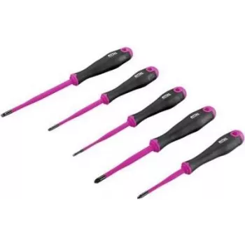 Set di cacciaviti Rittal 4052210 — set da 6 pezzi con impugnatura ergonomica
