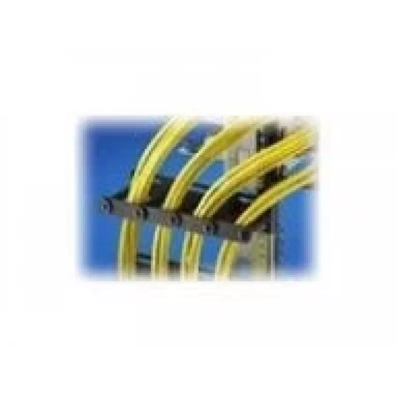 Guida per gestione cavi Rittal DK - rack - kit gestione cavi - 4U - 48,3 cm (19