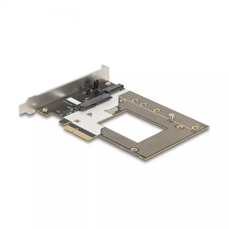 Scheda adattatore M.2 / U.2 interna DELOCK 90854 — PCIe 4.0 (host: PCIe, uscite: M.2 Key M 110 mm, U.2)