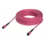 Cavo in fibra ottica MPO Ubiquiti UACC-OFC-MA-MPMP-30M 30 m OM4