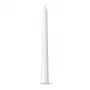 Bolsius candela da tavola 245/24 mm, bianco