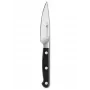 Coltello da frutta Zwilling Pro - 10 cm