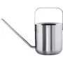 Annaffiatoio blomus PLANTO 1,0 l argento – Annaffiatoio in metallo per piante da interno/da giardino
