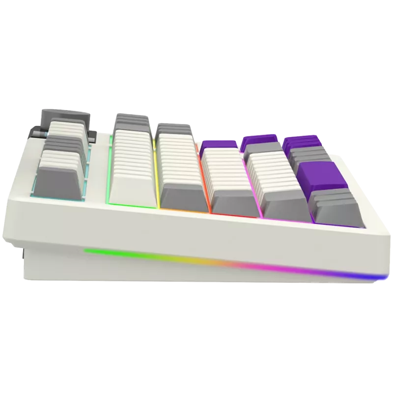 LORGAR KBP70TKLW, tastiera da gaming meccanica TKL wireless Pro, beige, layout EN