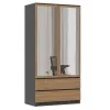 Topeshop SZAFA MALWA AN/AR L armadio/guardaroba da camera 5 ripiani 2 porte