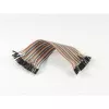 ALLNET 4duino cavo Dupont 40 PIN 20 centimetri plug-stec (ALL-A-4 (B4))