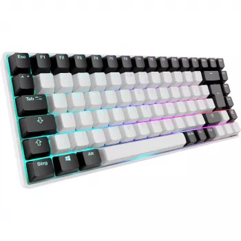 Sharkoon SKILLER SGK50 S3 - tastiera - 75% - retroilluminazione - USB - QWERTZ - tedesco - interruttori: Gateron Red (hot-swappable)