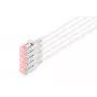 Digitus DK-1624-100S-5 Cavo patch Slim CAT 6 U/FTP, 10 m, grigio, confezione da 5