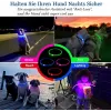 Collare LED KABB blu per cani e gatti – ricaricabile, collare di sicurezza regolabile con illuminazione