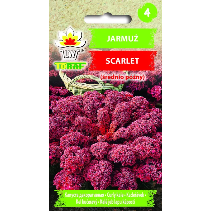 Semi di cavolo nero Scarlet Toraf, confezione da 1 g