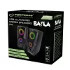 Diffusore ESPERANZA BAILA 6 W diffusore da scaffale con filo, 6 W RMS, 160–20000 Hz, 3 Ω, USB e 3,5 mm, coppia