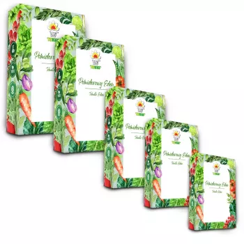 Set semi Toraf - 2024