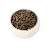 PUPIL Premium Insetti - crocchette per cani - 12 kg