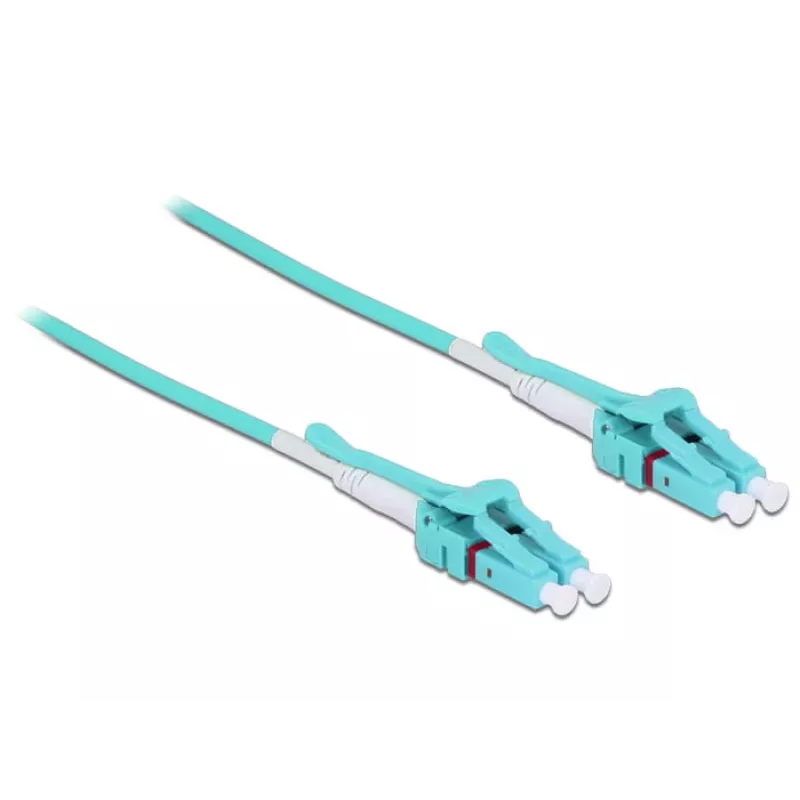 Cavo in fibra ottica DeLOCK 1m 2xLC