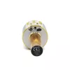 Microfono MANTA MIC10-G oro cardioide portatile — condensatore cardioide, design a mano