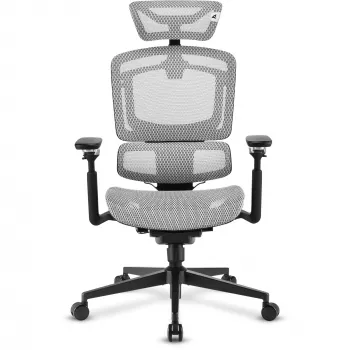 Sedia da ufficio Sharkoon OfficePal C50M — seduta imbottita, schienale in rete, nero, schienale 49 × 63 cm, larghezza seduta 50 cm