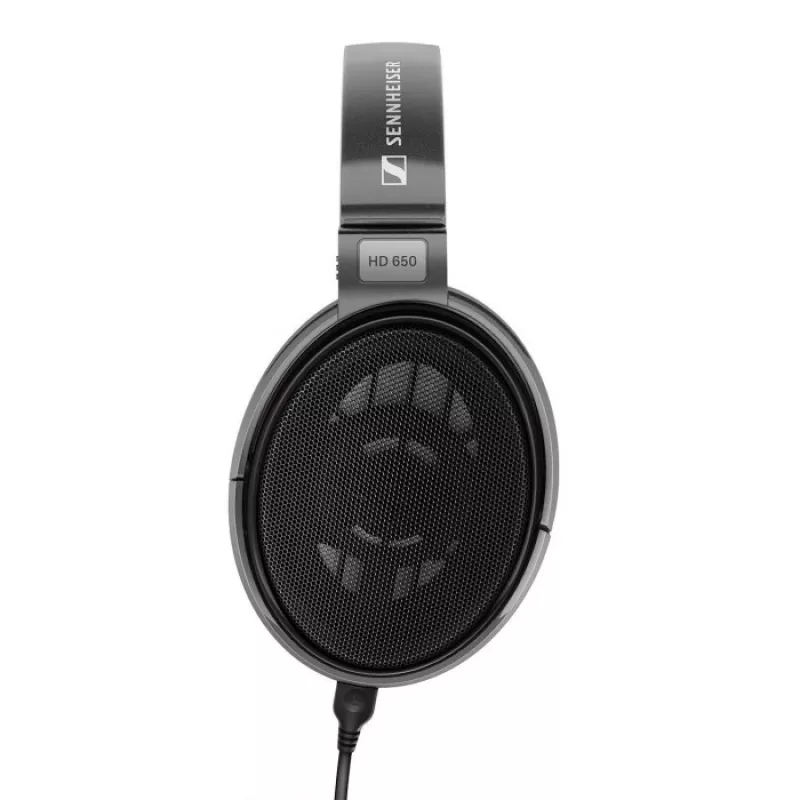 Sennheiser HD 650 cuffie con cavo