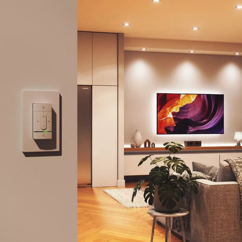 Interruttore radio intelligente Nanoleaf N4400C02-1BUT — a batteria, controllo personalizzabile per luci e dispositivi intelligenti