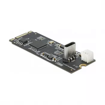 Convertitore da connettore maschio M.2 Key B+M a connettore femmina USB Type-C, DeLOCK, 63174
