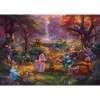 Thomas Kinkade Studios: Disney - Robin Hood, puzzle 1000 pezzi