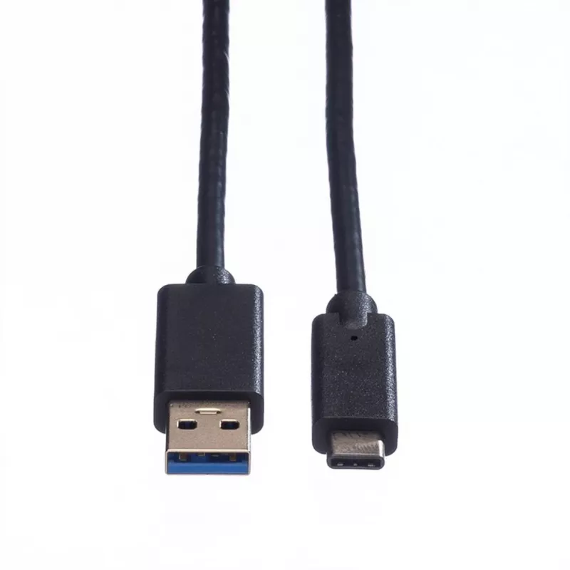 ROLINE - Cavo USB - USB Type-C (M) - USB Type-A 9 pin (M) - 1 m (USB 3.1) - stampato - nero (11.02.9011)