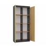 RS-80 HEMN libreria per ufficio, antracite/rovere artisan