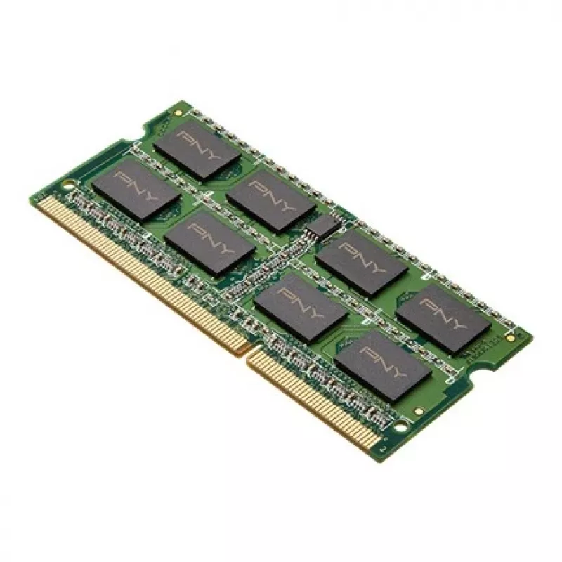 Modulo di memoria PNY DDR3 8GB 1600MHz 1 x 8GB