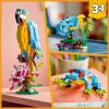 LEGO set da costruzione Pappagallo esotico 31136 — modello da esposizione Creator, 253 pezzi, 220×120×110 mm