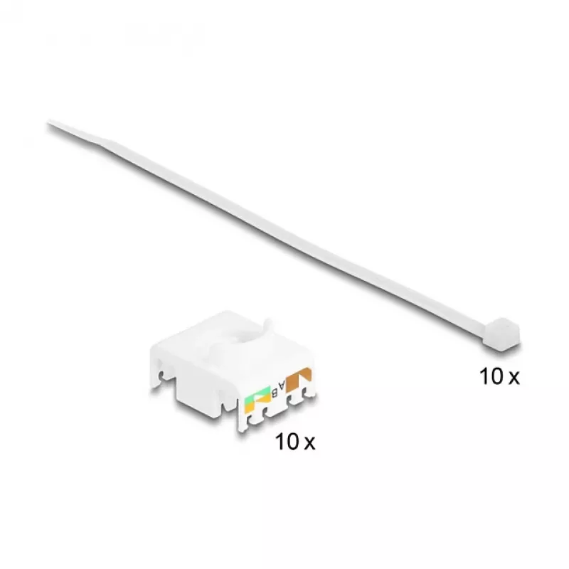 Modulo Keystone DeLOCK 88119 piatto bianco RJ-45 10 pz