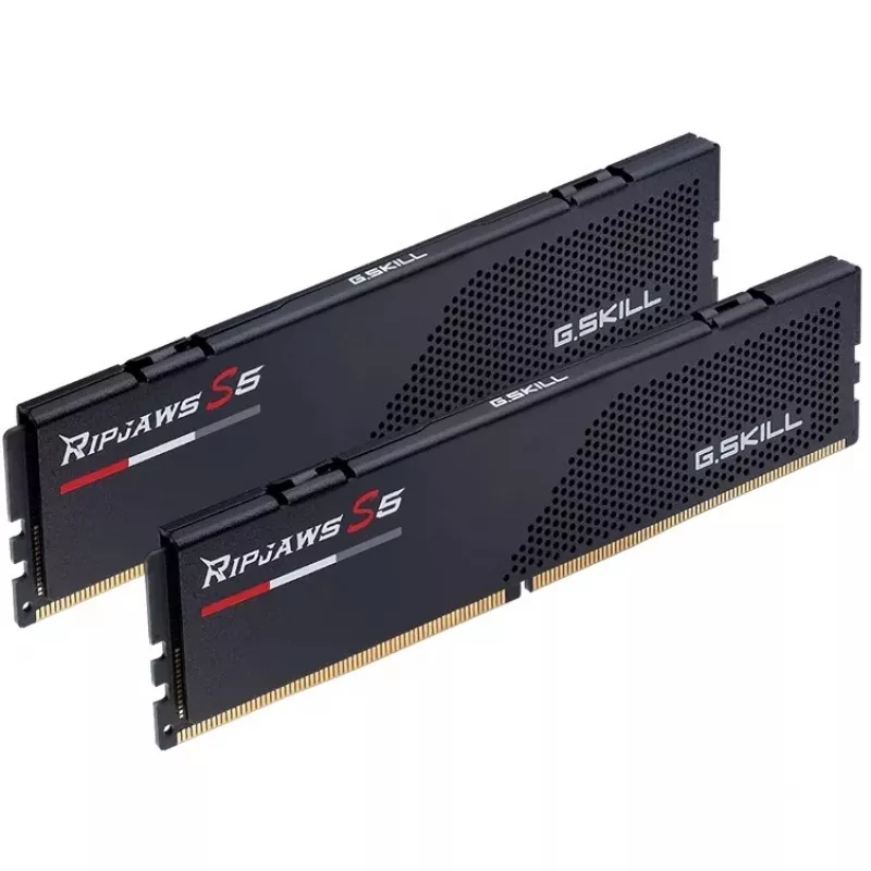 G.skill F5-6400J3239F24GX2-RS5K Modulo di memoria