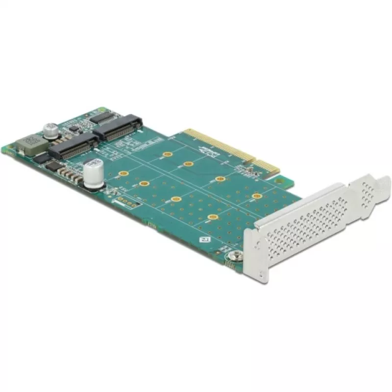 Scheda DeLOCK PCI Express x8 su 2 x NVMe M.2 Key M interne biforcazione formato low-profile