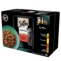 Cibo umido per gatti Sheba Moist, bustine 12×85 g (1020 g), pollo e agnello, adulti