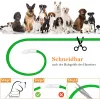 Collare LED Anicoll verde per cani e gatti modello illuminazione ricaricabile