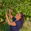 Cesoia da potatura GARDENA PremiumCut 12241-20 bypass, grigio/turchese