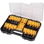 Set di punte DeWALT DT90017-QZ 22 pz.